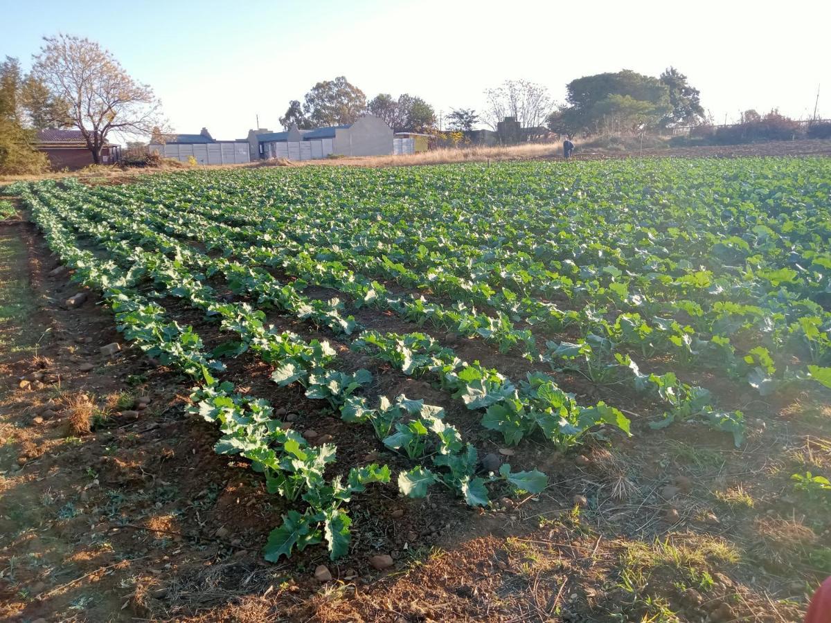 Shalom Place Of Peace Vasfontein Extérieur photo