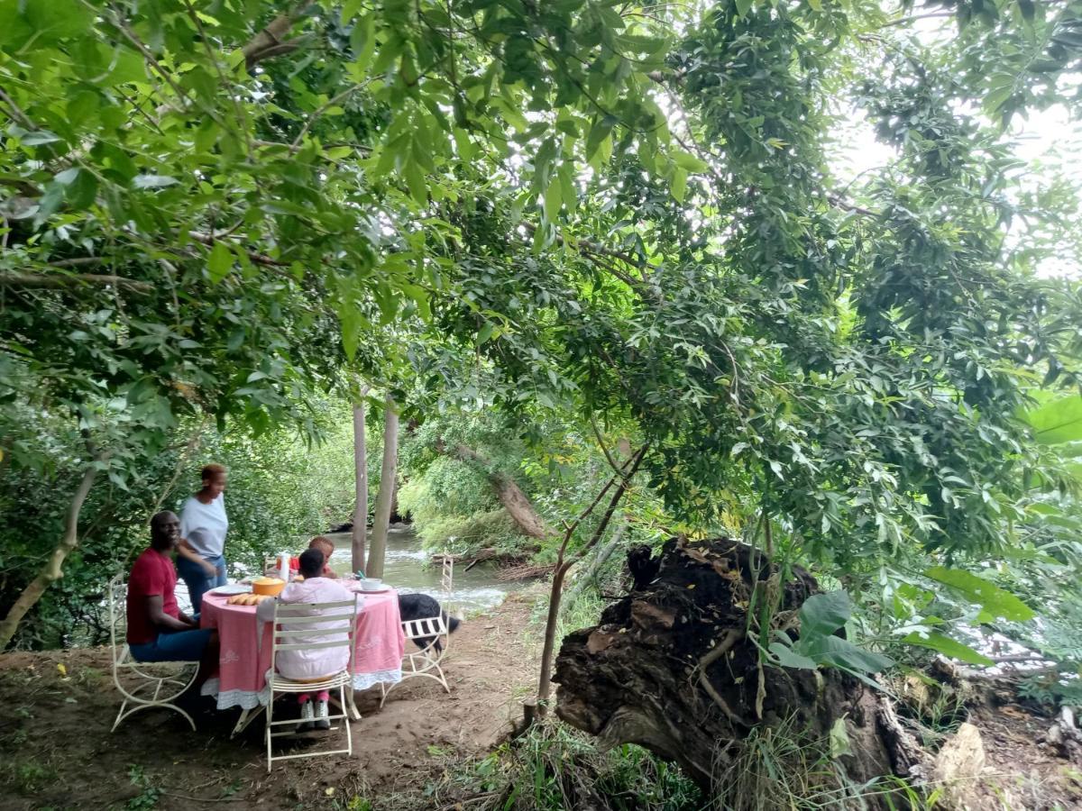 Shalom Place Of Peace Vasfontein Extérieur photo